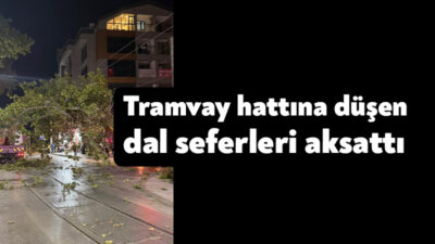 Kocaeli'nin İzmit ilçesinde çınar ağacından kopan dalın tramvay hattına düşmesiyle