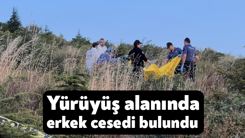 Kocaeli Gebze ilçesinde yürüyüş alanında erkek cesedi bulundu Kocaeli'de yürüyüş alanında hareketsiz halde bulunan yaşlı adamın hayatını kaybettiği