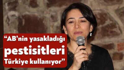 Kastamonu’da 1 Temmuz’da Ahmet ve Rahime Derin çifti bahçede topladıkları