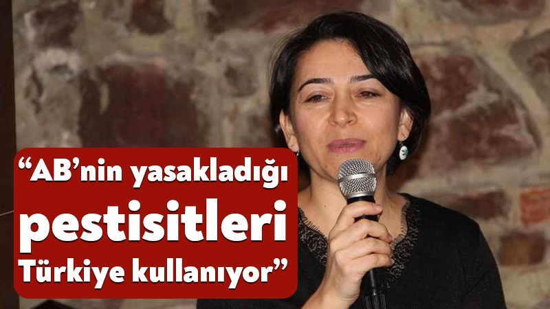 Kastamonu’da 1 Temmuz’da Ahmet ve Rahime Derin çifti bahçede topladıkları