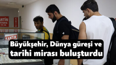 Hasan Gemici-Gazanfer Bilge Uluslararası Serbest ve Grekoromen Güreş Turnuvası, dünyanın