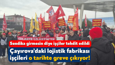 Doğuş Otomotiv’in başta Volkswagen olmak üzere distribütörlüğünü yaptığı Hödlmayr Lojistik