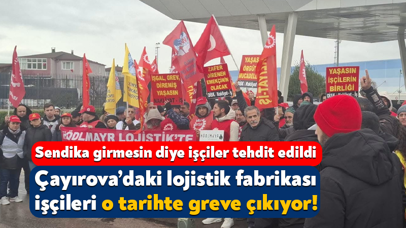 Doğuş Otomotiv’in başta Volkswagen olmak üzere distribütörlüğünü yaptığı Hödlmayr Lojistik