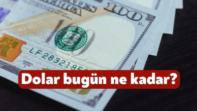 Döviz piyasalarında hareketlilik devam ediyor. Dolar/TL kuru, yeni işlem gününde