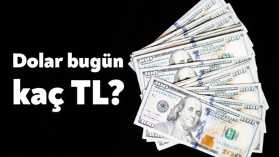 Döviz piyasalarında hareketlilik sürerken, dolar/TL kuru yeni güne 47 TL