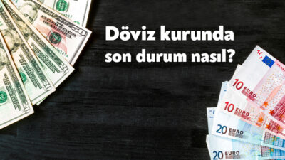 Küresel piyasalarda yaşanan gelişmeler ve yurt içindeki ekonomik beklentiler, döviz