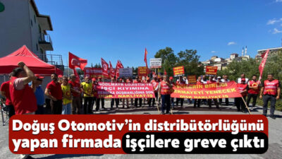 Başta Doğuş Otomotiv Volkswagen olmak üzere distribütörlüğünü yaptığı otomotiv markalarını