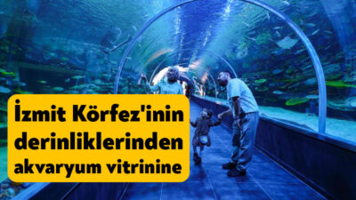 Kocaeli'de, İzmit Körfezi'nde yürütülen dip çamuru temizliğiyle birlikte bölgede yeniden