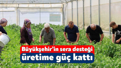 Kocaeli Büyükşehir Belediyesi’nin yüzde 50 hibeli, anahtar teslim modern sera