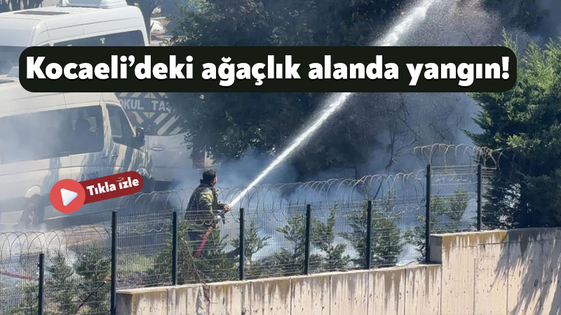 Kocaeli Gebze ilçesindeki ağaçlık alanda yangın! Kocaeli'nin Gebze ilçesinde ağaçlık alanda çıkan yangın, itfaiye ekiplerinin zamanında