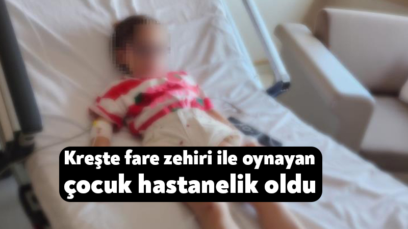 Kocaeli'nin Gölcük ilçesinde eğitim gördüğü özel anaokulunun oyun alanında fare