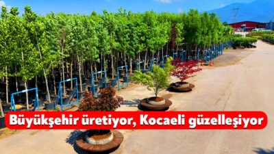 Kocaeli Büyükşehir Belediyesi’ne bağlı faaliyet gösteren “Merkez Fidanlığı” ile “Üretim