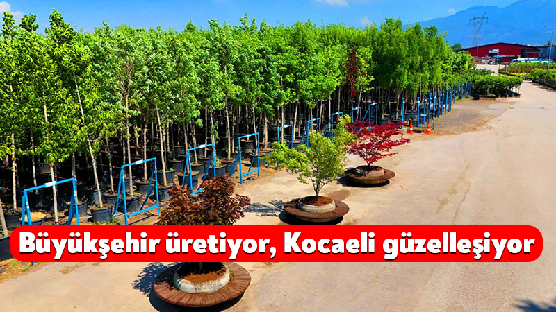 Kocaeli Büyükşehir Belediyesi’ne bağlı faaliyet gösteren “Merkez Fidanlığı” ile “Üretim