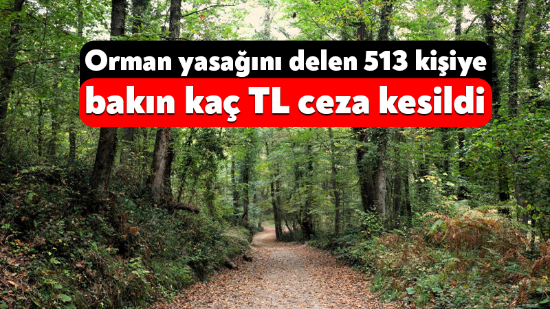 İstanbul'un Sultanbeyli ilçesinde ormana giriş yasağını ihlal eden ve ağaçlık