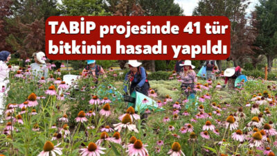 Kocaeli Büyükşehir Belediyesi’nin kırsal kalkınma vizyonu doğrultusunda hayata geçirdiği Tıbbi