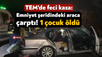 TEM Otoyolu'nun Kocaeli geçişinde arızalandığı için emniyet şeridine park edilen