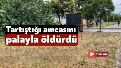 Kocaeli'nin Gölcük ilçesinde tartıştığı amcasını palayla öldüren zanlı, polis ekiplerince