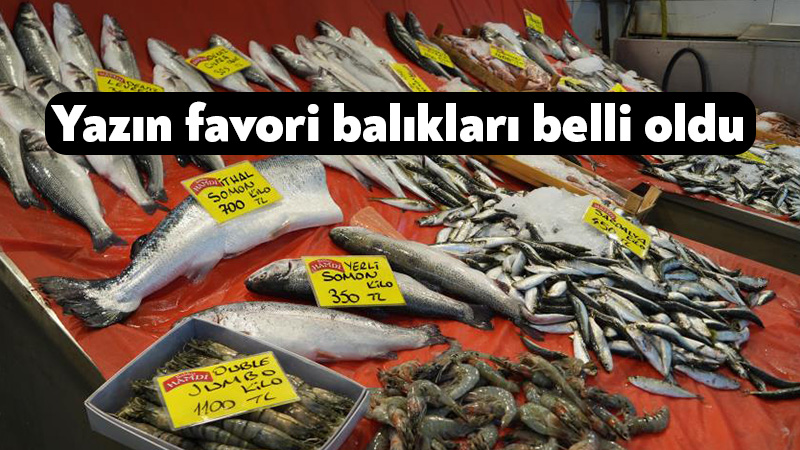 Kocaeli'de av yasağı döneminde küçük teknelerle tutulan günlük balıklar tezgahlardaki