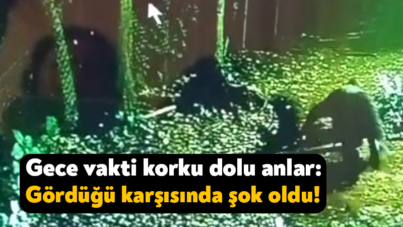 Kartepe’deki müstakil bir evde telefonuyla konuşan M.Ö., pergolede bir kişi