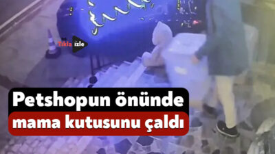 Kocaeli'nin Körfez ilçesinde bir petshopun önünde bulunan mama kutusu, kimliği