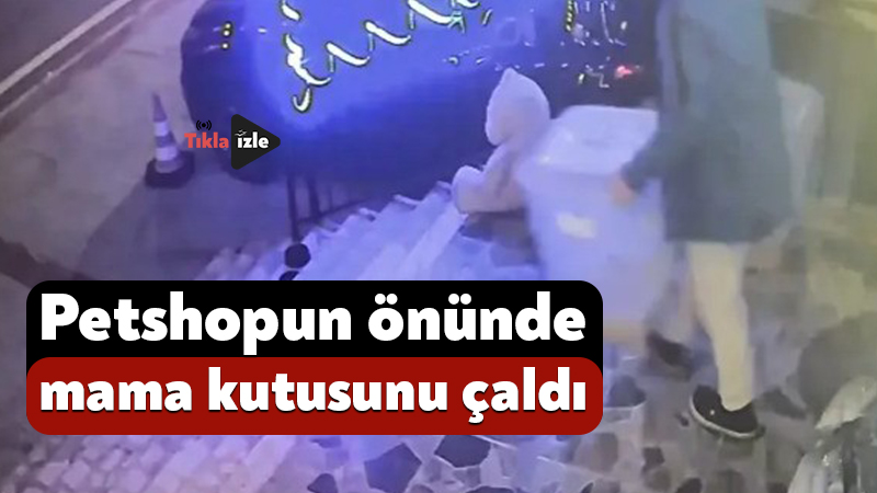 Kocaeli’deki petshopun önünde mama kutusunu çaldı Kocaeli'nin Körfez ilçesinde bir petshopun önünde bulunan mama kutusu, kimliği