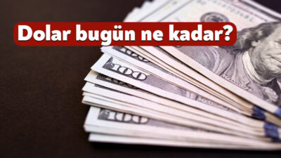 Döviz piyasalarında haftanın son işlem gününün ardından gözler 16 Ağustos