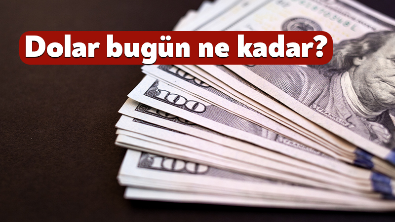 16 Ağustos 2026 döviz kuru: Dolar ve euro ne kadar? Döviz piyasalarında haftanın son işlem gününün ardından gözler 16 Ağustos