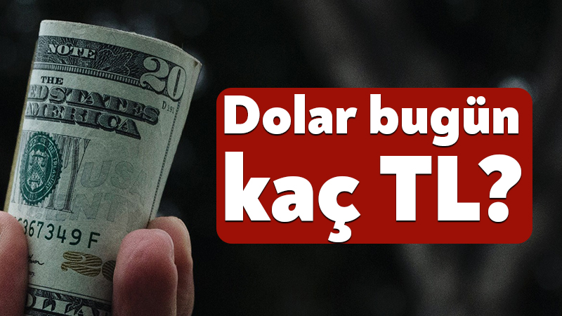 Döviz piyasalarında 20 Ağustos 2026 Perşembe günü hareketlilik sürüyor. Yatırımcıların