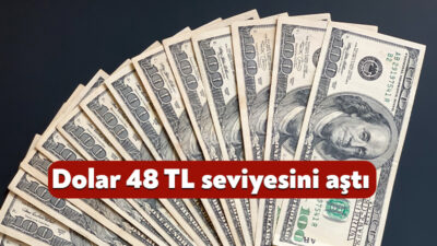 Döviz piyasalarında yeni haftanın ilk işlem gününde hareketlilik sürüyor. 24