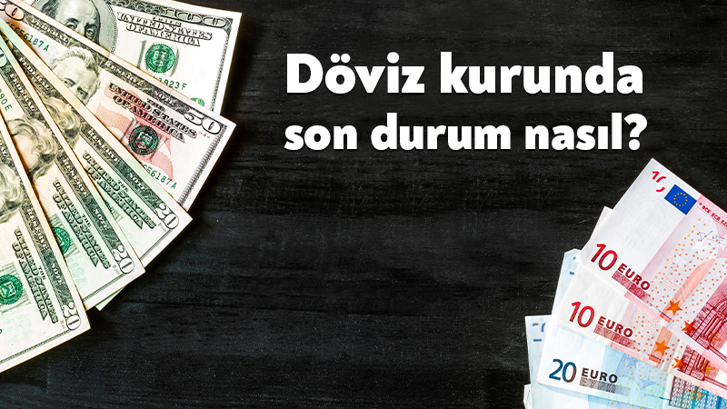 Döviz piyasalarında 30 Ağustos 2026 Pazar günü itibarıyla dolar ve