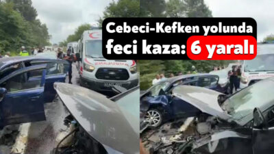 Kocaeli'nin Kandıra ilçesinde iki aracın çarpıştığı trafik kazasında 6 kişi