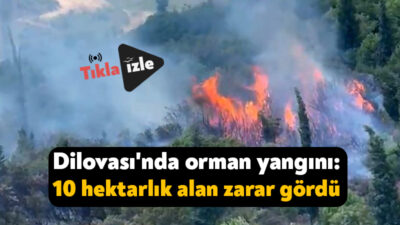 Kocaeli'nin Dilovası ilçesinde ormanlık alanda çıkan yangın, rüzgarın etkisiyle