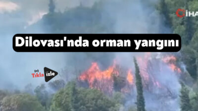 Dilovası’nda bulunan Organize Sanayi Bölgesi (OSB) yakınındaki ormanlık alanda çıkan