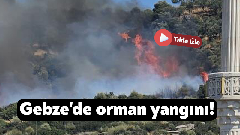 Gebze’de orman yangını! Kocaeli'nin Gebze ilçesinde ormanlık alanda yangın başladı. Bölgeye çok sayıda