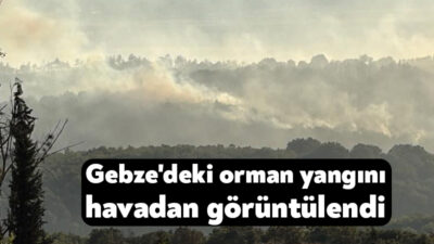 Kocaeli'nin Gebze ilçesinde kırsal alanda başlayarak ormanlık alana sıçrayan