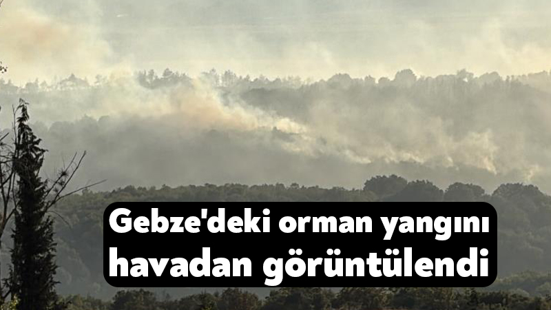 Gebze’deki orman yangını havadan görüntülendi Kocaeli'nin Gebze ilçesinde kırsal alanda başlayarak ormanlık alana sıçrayan