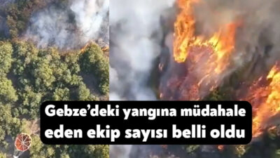 Gebze’nin Denizli Mahallesi’nde bugün çıkan yangına müdahale çalışmaları devam ediyor.
