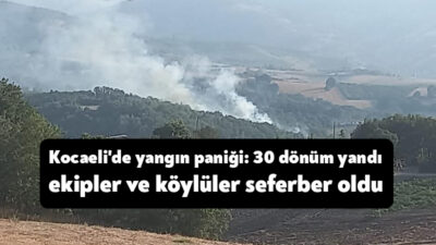 Kocaeli’nin Karamürsel ilçesinde çıkan orman yangını, ekiplerin ve vatandaşların müdahalesiyle
