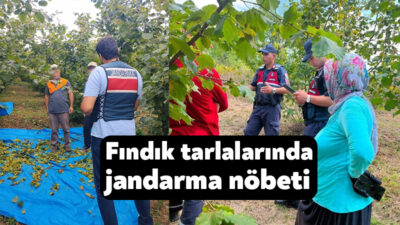 Kocaeli İl Jandarma Komutanlığı ekipleri, fındık hasadı döneminde tarlalarda yaşanabilecek