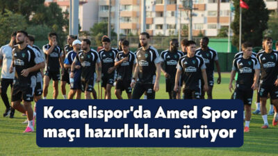 Trendyol Süper Lig'in 2. haftasında Kocaelispor pazartesi günü sahasında Amed