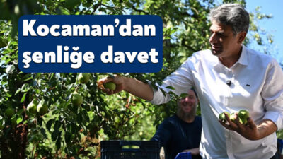 Kartepe Belediye Başkanı Av. M. Mustafa Kocaman, armut hasadına katılarak