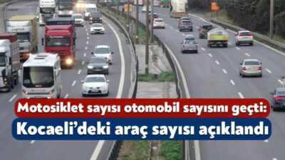 TÜİK, motorlu kara taşıtlarına ilişkin temmuz ayı verilerini yayınladı. Buna