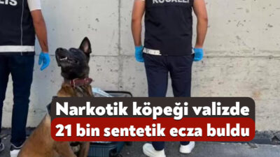 Kocaeli'nin Gebze ilçesinde polis ekiplerince düzenlenen operasyonda, narkotik köpeğiyle yapılan