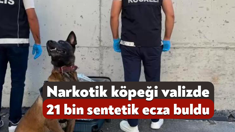 Kocaeli'nin Gebze ilçesinde polis ekiplerince düzenlenen operasyonda, narkotik köpeğiyle yapılan