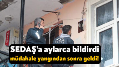 Kartepe İbrikdere Mahallesi’nde yaşayan Murat isimli vatandaş, evinin önündeki dut