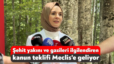 Aile ve Sosyal Hizmetler Bakanı Mahinur Özdemir Göktaş, şehit