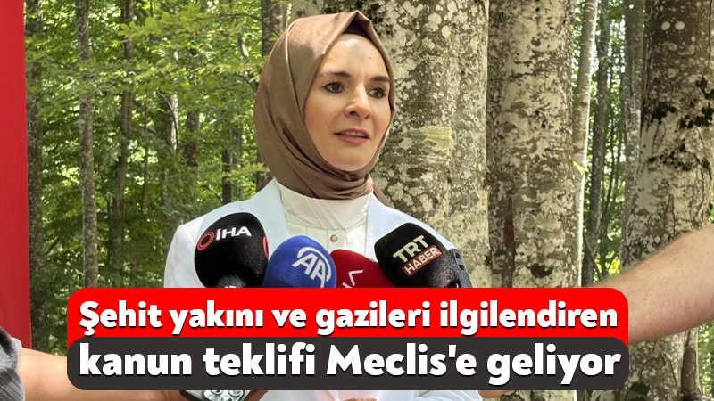 Aile ve Sosyal Hizmetler Bakanı Mahinur Özdemir Göktaş, şehit