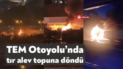 TEM Otoyolu’nun Kocaeli geçişinde seyir halindeki tır alev alev yandı.