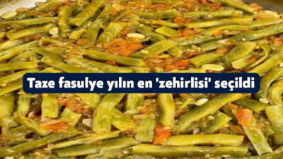 Almanya'daki Wandsbek Botanik Bahçesi, yaygın olarak tüketilen adi fasulyeyi barındırdığı