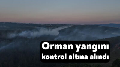 Kocaeli'nin Gebze ilçesinde kırsal alanda başlayarak ormanlık alana sıçrayan yangın,
